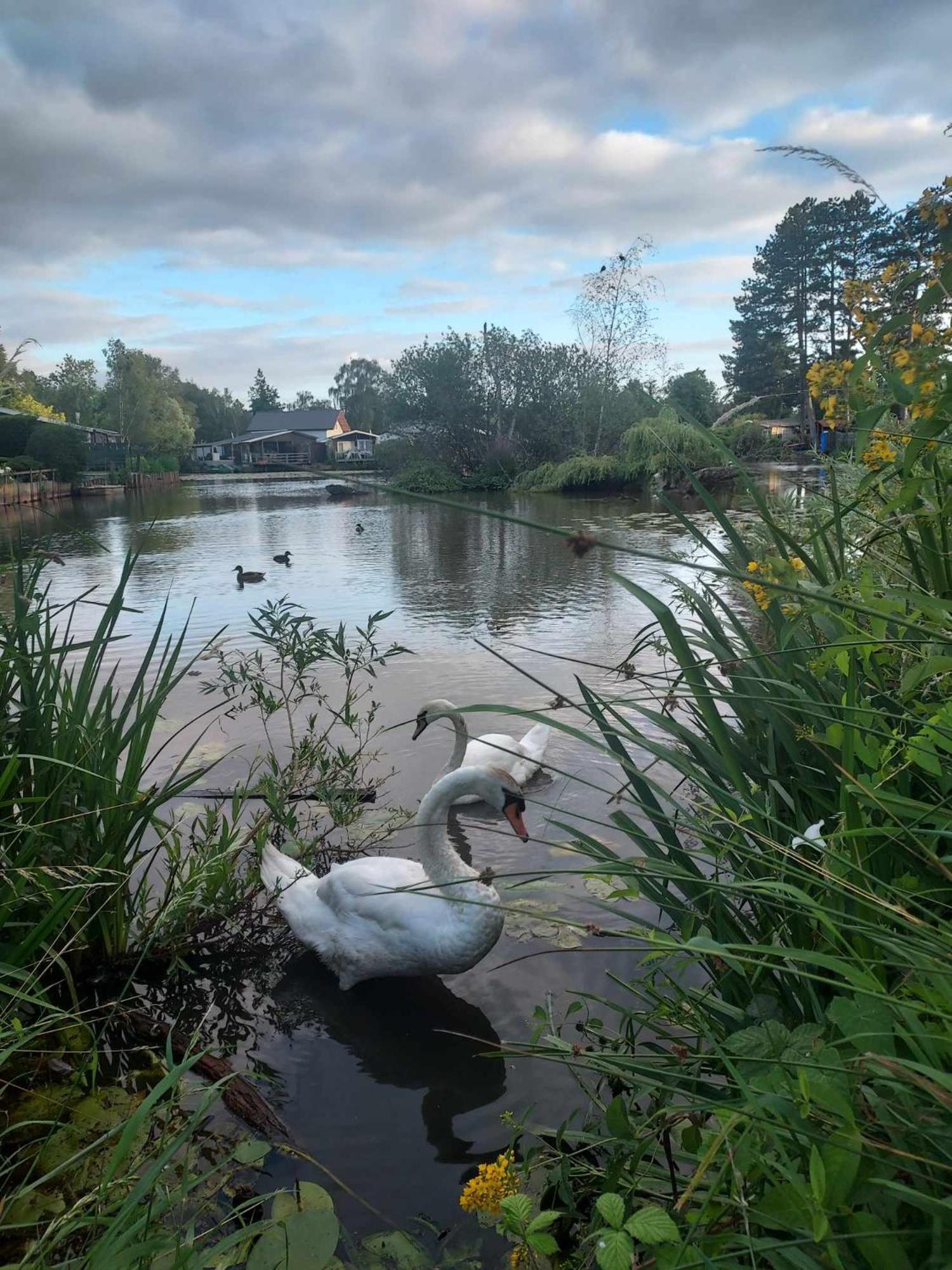 Rustig Gelegen Chalet Kapeki Met Tuin Aan Het Water Geel Exterior foto