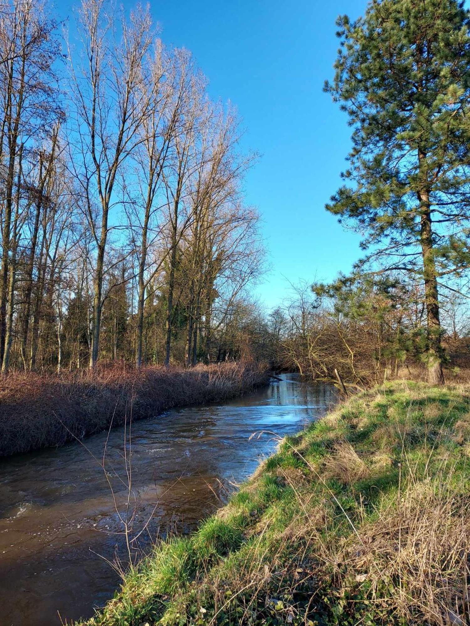 Rustig Gelegen Chalet Kapeki Met Tuin Aan Het Water Geel Exterior foto